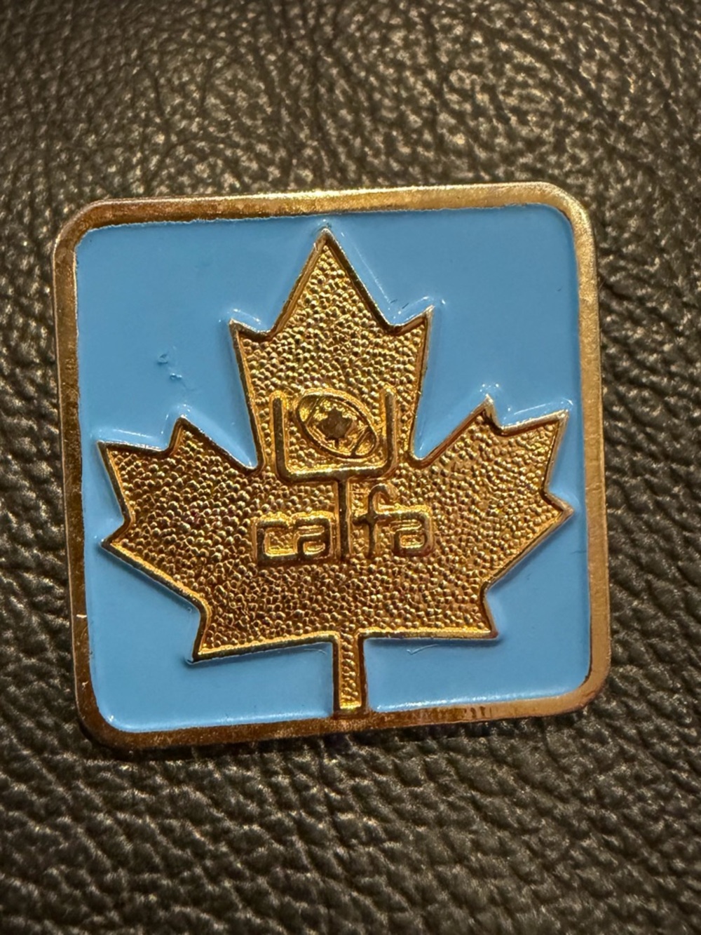 Canadian Football League (CFL) lapel pin